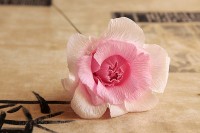 формируем розу